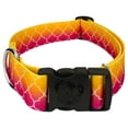thumbnail image 1 of Country Brook Petz® 1 1/2 inch Deluxe Fabulous Ombre Dog Collar, Large, 1 of 5