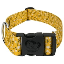 Country Brook Petz® 1 1/2 inch Deluxe Spring Cottagecore Dog Collar, Extra Large