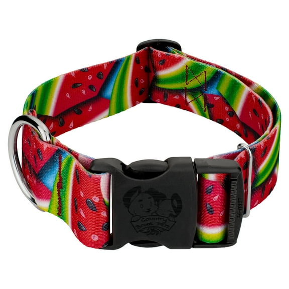 Country Brook Petz® 1 1/2 inch Deluxe Summer Melon Dog Collar, Large
