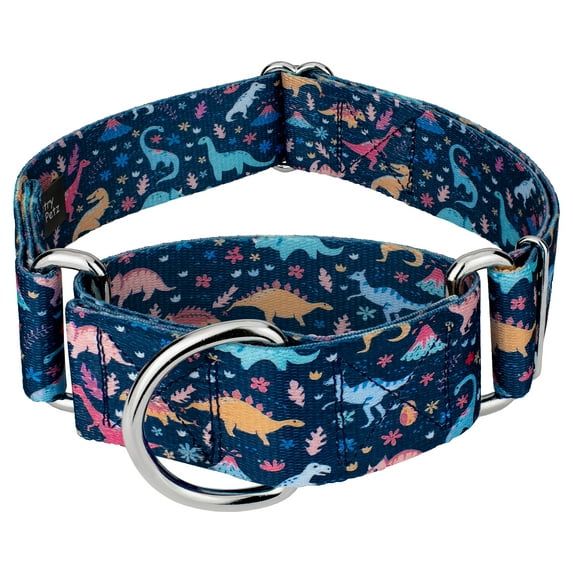 Country Brook Petz® 1 1/2 inch Dinosaurs Martingale Dog Collar, Large