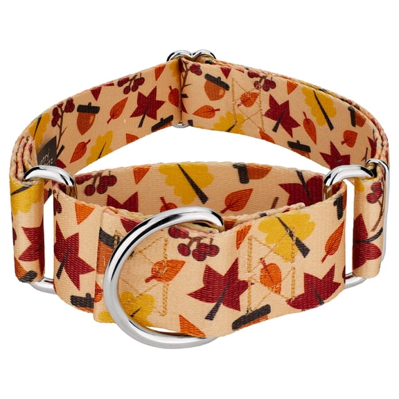 Country Brook Petz® 1 1/2 inch Fall Foliage Martingale Dog Collar, Large