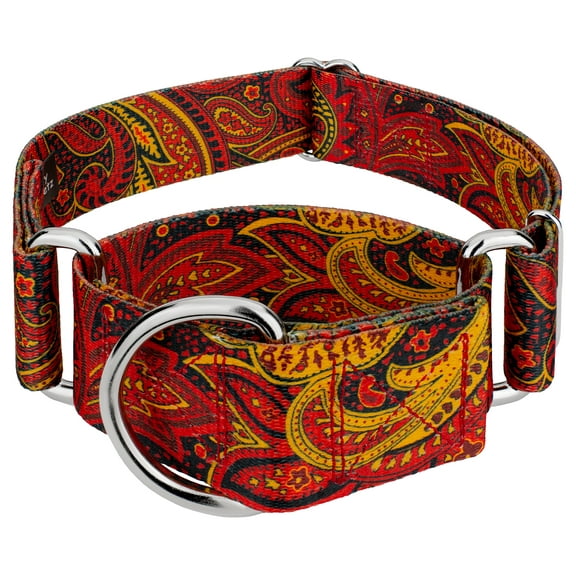 Country Brook Petz® 1 1/2 inch Fire Paisley Martingale Dog Collar, Large