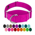 thumbnail image 1 of Country Brook Petz® 1 1/2 inch Fuchsia Martingale Heavyduty Nylon Dog Collar, Large, 1 of 6