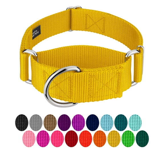 Country Brook Petz® 1 1/2 inch Gold Martingale Heavyduty Nylon Dog Collar, Large