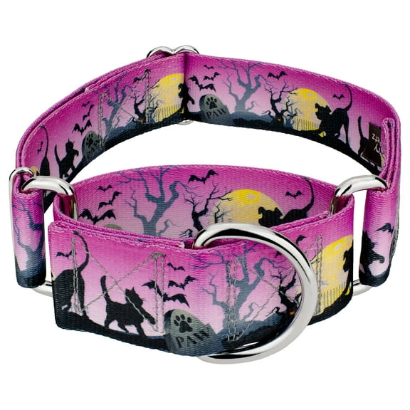 Country Brook Petz® 1 1/2 inch Graveyard Martingale Dog Collar, Medium