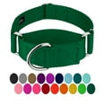 thumbnail image 1 of Country Brook Petz® 1 1/2 inch Green Martingale Heavyduty Nylon Dog Collar, Extra Large, 1 of 7