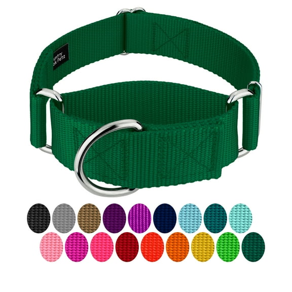 Country Brook Petz® 1 1/2 inch Green Martingale Heavyduty Nylon Dog Collar, Large