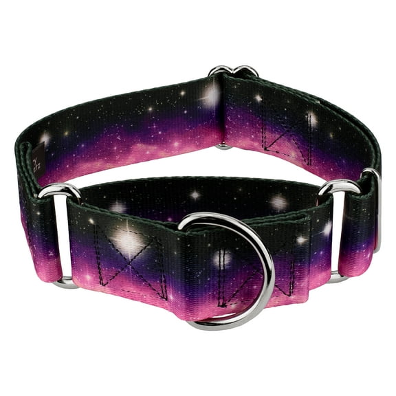 Country Brook Petz® 1 1/2 inch Heavenly Space Martingale Dog Collar, Large