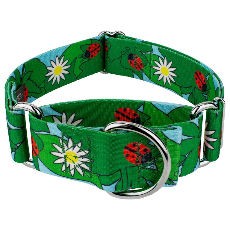 Ladybug 2025 dog collar