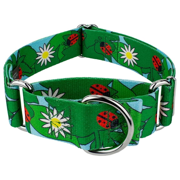 Country Brook Petz® 1 1/2 inch Ladybug Picnic Martingale Dog Collar, Large