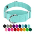 thumbnail image 1 of Country Brook Petz® 1 1/2 inch Light Cyan Martingale Heavyduty Nylon Dog Collar, Large, 1 of 7