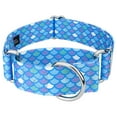 thumbnail image 1 of Country Brook Petz® 1 1/2 inch Mermaid Scales Martingale Dog Collar, Extra Large, 1 of 7