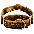 thumbnail image 1 of Country Brook Petz® 1 1/2 inch Midnight Fright Martingale Dog Collar, Large, 1 of 7