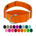 thumbnail image 1 of Country Brook Petz® 1 1/2 inch Orange Martingale Heavyduty Nylon Dog Collar, Large, 1 of 6