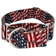 thumbnail image 1 of Country Brook Petz® 1 1/2 inch Patriotic Tribute Martingale Dog Collar, Large, 1 of 7