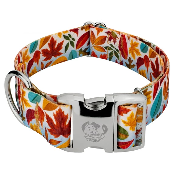 Country Brook Petz® 1 1/2 inch Premium Brisk Autumn Dog Collar, Medium