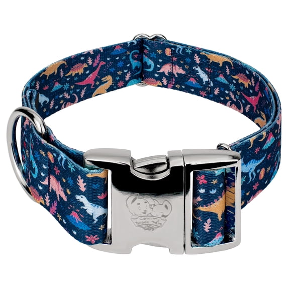 Country Brook Petz® 1 1/2 inch Premium Dinosaurs Dog Collar, Medium