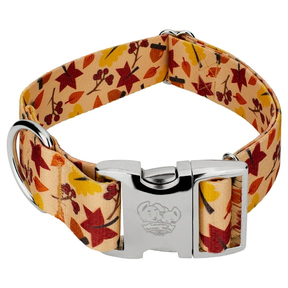 Country Brook Petz® 1 1/2 inch Premium Fall Foliage Dog Collar, Large