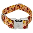 thumbnail image 1 of Country Brook Petz® 1 1/2 inch Premium Fall Foliage Dog Collar, Medium, 1 of 5