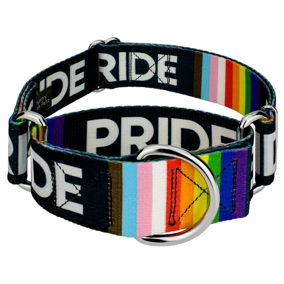 Country Brook Petz® 1 1/2 inch Pride Martingale Dog Collar, Large
