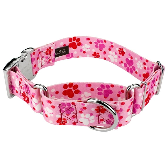 Country Brook Petz® 1 1/2 inch Puppy Love Martingale with Premium Buckle Dog Collar, Extra Large