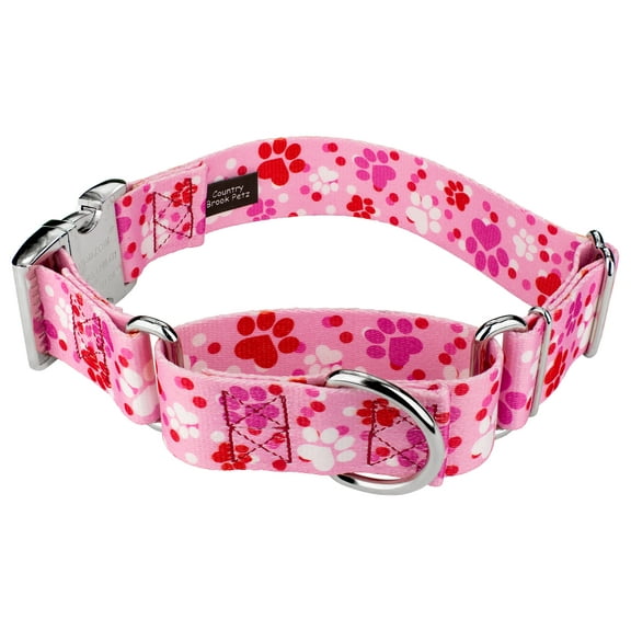 Country Brook Petz® 1 1/2 inch Puppy Love Martingale with Premium Buckle Dog Collar, Medium