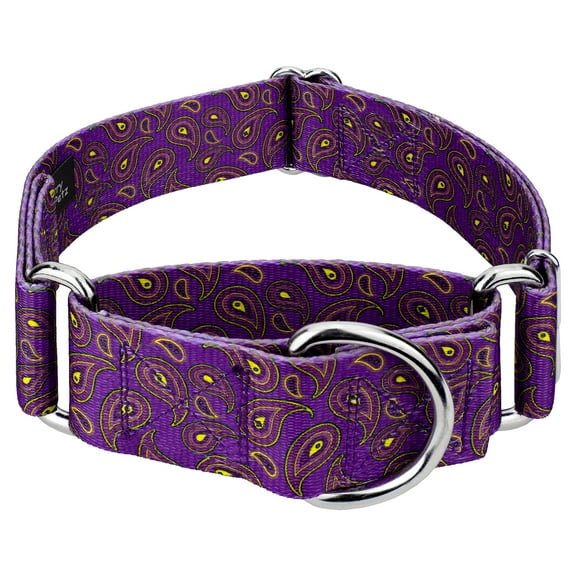 Country Brook Petz® 1 1/2 inch Purple Paisley Martingale Dog Collar, Medium