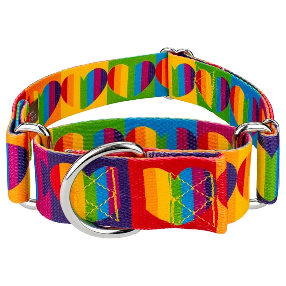 Country Brook Petz® 1 1/2 inch Rainbow Hearts Martingale Dog Collar, Large