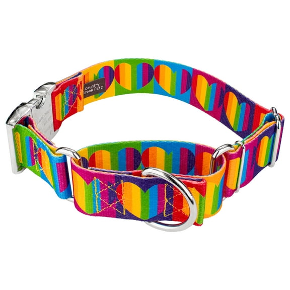 Country Brook Petz® 1 1/2 inch Rainbow Hearts Martingale with Premium Buckle Dog Collar, Large