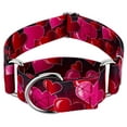 thumbnail image 1 of Country Brook Petz® 1 1/2 inch Romantic Hearts Martingale Dog Collar, Medium, 1 of 6