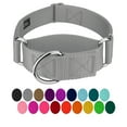 thumbnail image 1 of Country Brook Petz® 1 1/2 inch Silver Martingale Heavyduty Nylon Dog Collar, Extra Large, 1 of 7