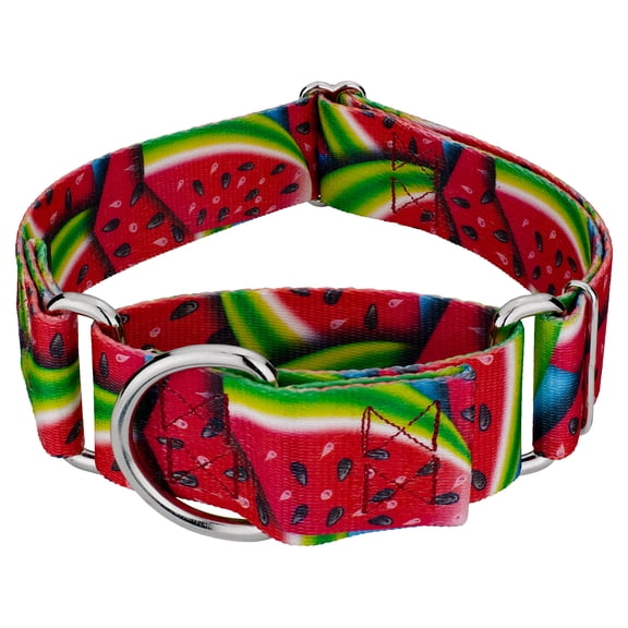 Country Brook Petz® HossFit Jr Wide Martingale Dog Collar (Limited Edition Summer Melon, Large)