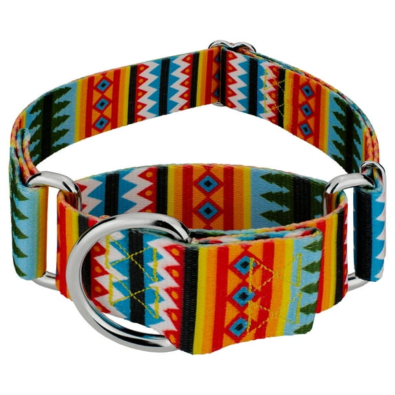 Country Brook Petz® 1 1/2 inch Summer Pines Martingale Dog Collar, Large