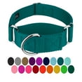 thumbnail image 1 of Country Brook Petz® 1 1/2 inch Teal Martingale Heavyduty Nylon Dog Collar, Extra Large, 1 of 6