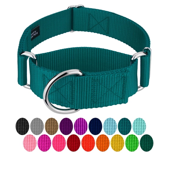 Country Brook Petz® 1 1/2 inch Teal Martingale Heavyduty Nylon Dog Collar, Large