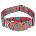 thumbnail image 1 of Country Brook Petz® 1 1/2 inch Tropical Tango Martingale Dog Collar, Large, 1 of 5