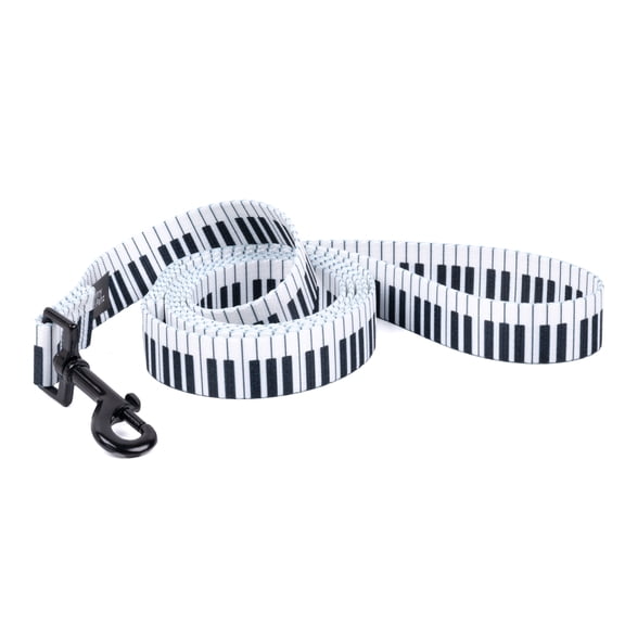 Country Brook Petz® 1/2 Inch Piano Keys Dog Leash, 6 Foot
