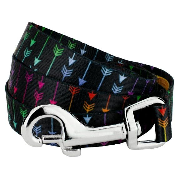 Country Brook Petz - 1/2 inch Colorful Arrows Dog Leash - 4 Foot