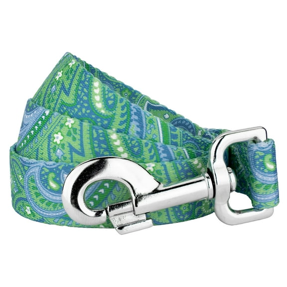 Country Brook Petz - 1/2 inch Green Paisley Dog Leash - 6 Feet