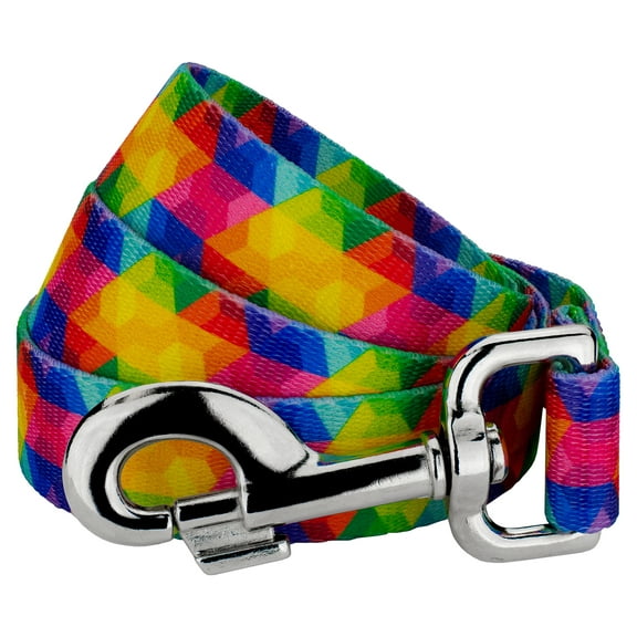Country Brook Petz® 1/2 inch Kaleidoscope Dog Leash - 4 Foot