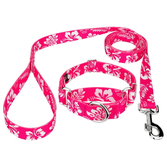 Country Brook Petz® 1/2 inch Pink Hawaiian Martingale Dog Collar and Leash, 2XS
