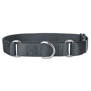 Country Brook Petz 1 Inch Martingale Dog Collar, Charcoal