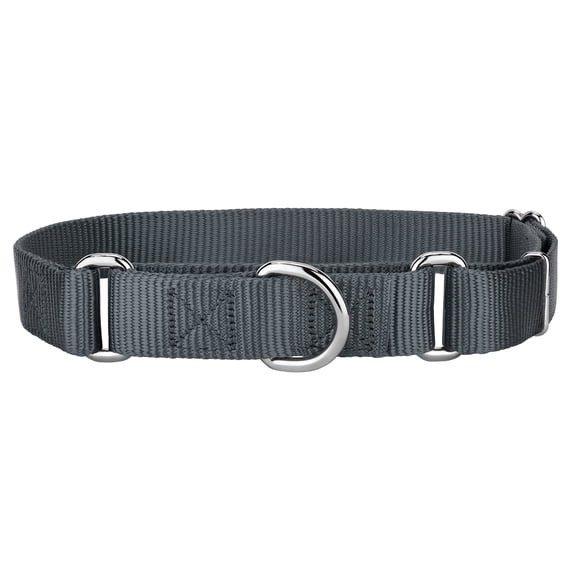 Country Brook Petz® 1 Inch Martingale Heavyduty Nylon Dog Collar - Charcoal - Large