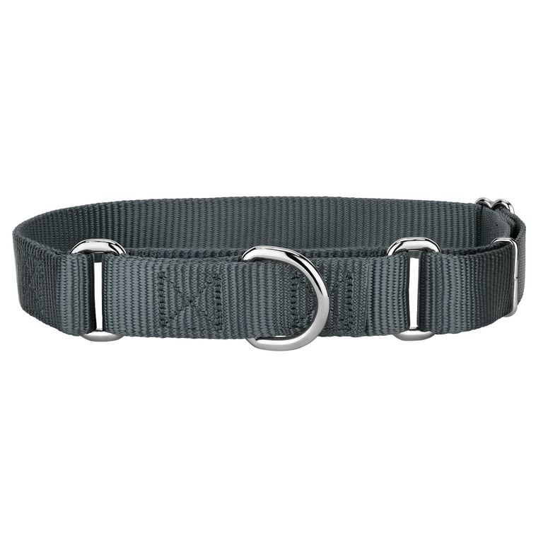Country Brook Petz 1 Inch Martingale Dog Collar, Charcoal photo 1