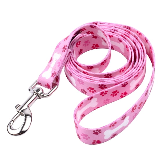 Country Brook Petz® 1 Inch Pink Oh My Dog Everyday Dog Leash, 4 Foot
