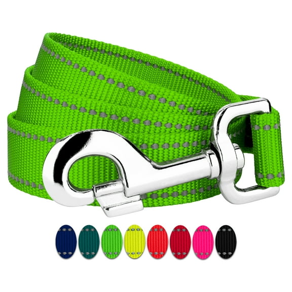 Country Brook Petz - 1 Inch Reflective Nylon Dog Leash