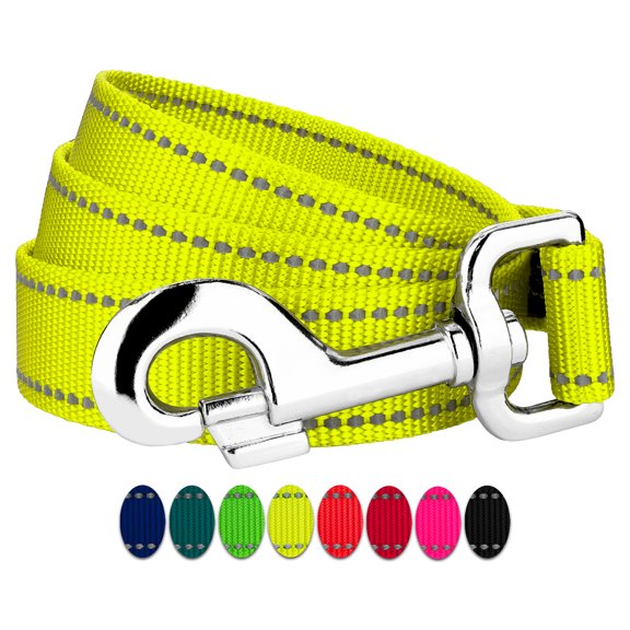 Country Brook Petz - 1 Inch Reflective Nylon Dog Leash