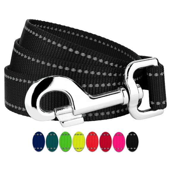 Country Brook Petz - 1 Inch Reflective Nylon Dog Leash