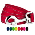 thumbnail image 1 of Country Brook Petz - 1 Inch Reflective Nylon Dog Leash, 1 of 5
