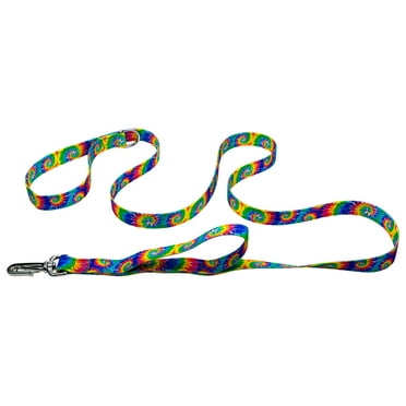 Country Brook Petz® 1 inch Classic Tie Dye Deluxe Reflective Dog Leash, 6 Foot
